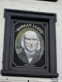 Lloyd Portrait
